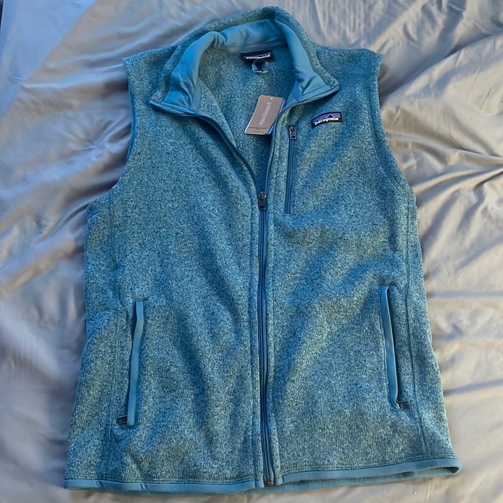 Mens Patagonia Better Sweater Vest